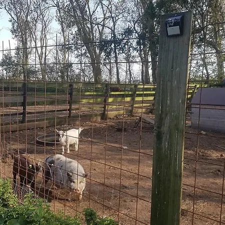 Hoeve Dijkstal Logeren Op De Boerderij Sint Maarten