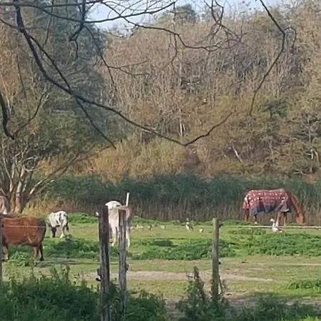 Apartment Hoeve Dijkstal Logeren Op De Boerderij *